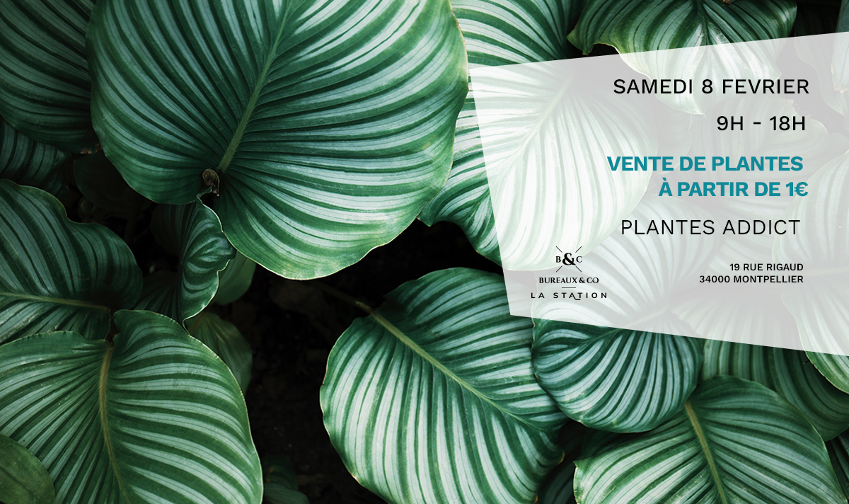 PLANTE ADDICT - 8 février - La Station